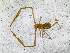  ( - BGE_00504_B03)  @11 [ ] Copyright (2024) Unspecified Croatian Biospeleological Society