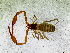  ( - BGE_00504_B07)  @11 [ ] Copyright (2025) Unspecified Croatian Biospeleological Society