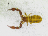  ( - BGE_00501_C07)  @11 [ ] Copyright (2024) Unspecified Croatian Biospeleological Society