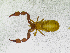  ( - BGE_00501_C07)  @11 [ ] Copyright (2024) Unspecified Croatian Biospeleological Society