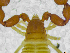  ( - BGE_00501_C08)  @11 [ ] Copyright (2024) Unspecified Croatian Biospeleological Society