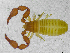  ( - BGE_00501_C08)  @11 [ ] Copyright (2024) Unspecified Croatian Biospeleological Society