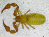  ( - BGE_00501_C08)  @11 [ ] Copyright (2024) Unspecified Croatian Biospeleological Society
