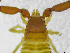  ( - BGE_00501_C09)  @11 [ ] Copyright (2024) Unspecified Croatian Biospeleological Society