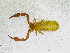  ( - BGE_00501_C09)  @11 [ ] Copyright (2024) Unspecified Croatian Biospeleological Society