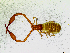  ( - BGE_00504_C03)  @11 [ ] Copyright (2025) Unspecified Croatian Biospeleological Society