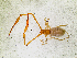  ( - BGE_00504_C09)  @11 [ ] Copyright (2024) Unspecified Croatian Biospeleological Society