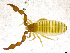  ( - BGE_00501_C10)  @11 [ ] Copyright (2024) Unspecified Croatian Biospeleological Society