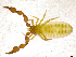  ( - BGE_00501_C10)  @11 [ ] Copyright (2024) Unspecified Croatian Biospeleological Society