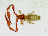  ( - BGE_00504_D05)  @11 [ ] Copyright (2025) Unspecified Croatian Biospeleological Society