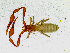  ( - BGE_00504_D05)  @11 [ ] Copyright (2025) Unspecified Croatian Biospeleological Society
