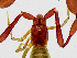  ( - BGE_00504_D06)  @11 [ ] Copyright (2025) Unspecified Croatian Biospeleological Society