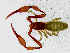  ( - BGE_00504_D06)  @11 [ ] Copyright (2025) Unspecified Croatian Biospeleological Society