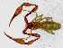  ( - BGE_00504_D06)  @11 [ ] Copyright (2025) Unspecified Croatian Biospeleological Society