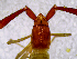  ( - BGE_00504_D07)  @11 [ ] Copyright (2024) Unspecified Croatian Biospeleological Society