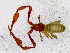  ( - BGE_00504_D07)  @11 [ ] Copyright (2024) Unspecified Croatian Biospeleological Society