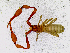  ( - BGE_00504_D07)  @11 [ ] Copyright (2024) Unspecified Croatian Biospeleological Society