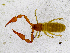  ( - BGE_00503_H06)  @11 [ ] Copyright (2024) Unspecified Croatian Biospeleological Society