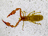  ( - BGE_00503_H06)  @11 [ ] Copyright (2024) Unspecified Croatian Biospeleological Society