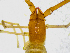  ( - BGE_00504_E07)  @11 [ ] Copyright (2025) Unspecified Croatian Biospeleological Society