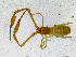  ( - BGE_00504_E07)  @11 [ ] Copyright (2025) Unspecified Croatian Biospeleological Society
