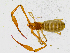 ( - BGE_00504_E08)  @11 [ ] Copyright (2025) Unspecified Croatian Biospeleological Society