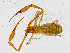  ( - BGE_00504_E08)  @11 [ ] Copyright (2025) Unspecified Croatian Biospeleological Society