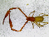  ( - BGE_00504_E09)  @11 [ ] Copyright (2025) Unspecified Croatian Biospeleological Society