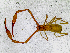  ( - BGE_00504_E09)  @11 [ ] Copyright (2025) Unspecified Croatian Biospeleological Society