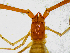  ( - BGE_00504_E10)  @11 [ ] Copyright (2025) Unspecified Croatian Biospeleological Society
