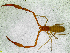  ( - BGE_00504_E10)  @11 [ ] Copyright (2025) Unspecified Croatian Biospeleological Society