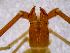  ( - BGE_00504_E11)  @11 [ ] Copyright (2025) Unspecified Croatian Biospeleological Society