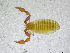  ( - BGE_00502_C08)  @11 [ ] Copyright (2024) Unspecified Croatian Biospeleological Society