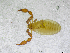  ( - BGE_00502_C08)  @11 [ ] Copyright (2024) Unspecified Croatian Biospeleological Society