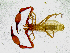  ( - BGE_00504_F05)  @11 [ ] Copyright (2025) Unspecified Croatian Biospeleological Society