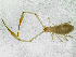  ( - BGE_00504_F08)  @11 [ ] Copyright (2025) Unspecified Croatian Biospeleological Society