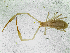  ( - BGE_00504_F08)  @11 [ ] Copyright (2025) Unspecified Croatian Biospeleological Society