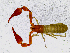  ( - BGE_00504_F09)  @11 [ ] Copyright (2025) Unspecified Croatian Biospeleological Society