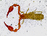  ( - BGE_00504_F09)  @11 [ ] Copyright (2025) Unspecified Croatian Biospeleological Society