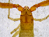  ( - BGE_00504_F10)  @11 [ ] Copyright (2025) Unspecified Croatian Biospeleological Society