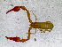  ( - BGE_00504_F10)  @11 [ ] Copyright (2025) Unspecified Croatian Biospeleological Society