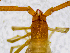  ( - BGE_00504_G01)  @11 [ ] Copyright (2025) Unspecified Croatian Biospeleological Society