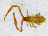  ( - BGE_00504_G01)  @11 [ ] Copyright (2025) Unspecified Croatian Biospeleological Society