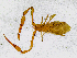  ( - BGE_00504_G01)  @11 [ ] Copyright (2025) Unspecified Croatian Biospeleological Society