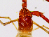  ( - BGE_00504_G07)  @11 [ ] Copyright (2025) Unspecified Croatian Biospeleological Society