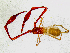  ( - BGE_00504_G07)  @11 [ ] Copyright (2025) Unspecified Croatian Biospeleological Society