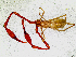  ( - BGE_00504_G07)  @11 [ ] Copyright (2025) Unspecified Croatian Biospeleological Society