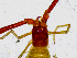  ( - BGE_00504_G08)  @11 [ ] Copyright (2025) Unspecified Croatian Biospeleological Society