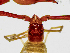  ( - BGE_00504_G09)  @11 [ ] Copyright (2025) Unspecified Croatian Biospeleological Society