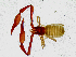  ( - BGE_00504_G09)  @11 [ ] Copyright (2025) Unspecified Croatian Biospeleological Society